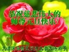 ֹ,󷨵ӹףʦԪ(24)
