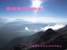 法轮功,河南大法弟子恭祝师尊元旦快乐(23条)
