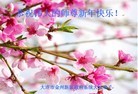 ֹ,½һش󷨵ӹףʦԪ(25)
