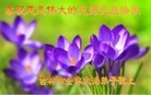 ֹ,д󷨵ӹףʦԪ(23)
