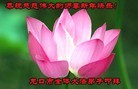 法轮功,山东大法弟子恭祝师尊元旦快乐(29条)
