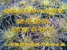 ֹ,ϴ󷨵ӹףʦԪ(21)

