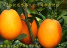 ֹ,󷨵ӹףʦԪ(26)
