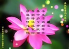ֹ,󷨵ӹףʦԪ(25)
