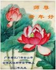 法轮功,广东大法弟子恭祝师尊元旦快乐(30条)
