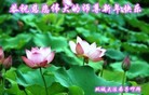 ֹ,󷨵ӹףʦԪ(20)
