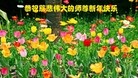 ֹ,ľ˹󷨵ӹףʦԪ(24)
