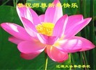 ֹ,ʡ󷨵ӹףʦԪ(26)
