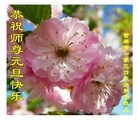 ֹ,ʡ󷨵ӹףʦԪ(26)
