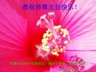 ֹ,󷨵ӹףʦԪ(25)
