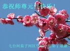 ֹ,󷨵ӹףʦԪ(26)
