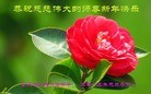 ֹ,󷨵ӹףʦԪ(29)
