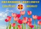 ֹ,ڹףʦ(51)
