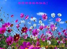 ֹ,Ĵ󷨵ӹףʦԪ(26)
