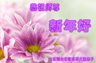 ֹ,ϵͳ󷨵ӹףʦԪ(30)
