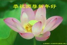 ֹ,д󷨵ӹףʦԪ(33)
