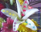 ֹ,󷨵ӹףʦԪ(19)
