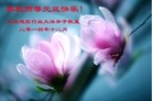 ֹ,ҵ󷨵ӹףʦԪ(32)
