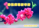 ֹ,󷨵ӹףʦԪ(24)
