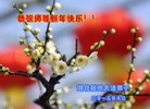 ֹ,󷨵ӹףʦԪ(27)

