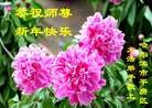 ֹ,󷨵ӹףʦԪ(28)
