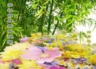 法轮功,河南大法弟子恭祝师尊元旦快乐(28条)
