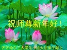 法轮功,齐齐哈尔大法弟子恭祝师尊元旦快乐(19条)
