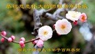ֹ,󷨵ӹףʦԪ(28)
