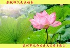 ֹ,󷨵ӹףʦԪ(26)
