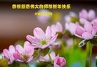 ֹ,ľ˹󷨵ӹףʦԪ(25)
