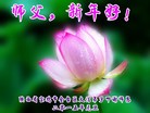 法轮功,陕西大法弟子恭祝师尊元旦快乐(24条)
