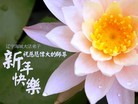 法轮功,辽宁大法弟子恭祝师尊元旦快乐(25条)
