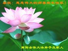 法轮功,河南大法弟子恭祝师尊新年快乐(29条)
