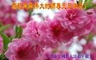 ֹ,󷨵ӹףʦԪ(24)
