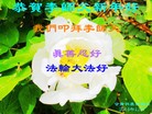ֹ,󷨵ӹףʦԪ(26)
