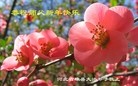 ֹ,󷨵ӹףʦԪ(31)
