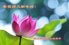 ֹ,󷨵ӹףʦ(27)
