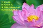 ֹ,ʯׯ󷨵ӹףʦԪ(28)
