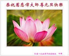 ֹ,󷨵ӹףʦԪ(28)
