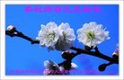Published on 12/31/2014 ���ֹ�,����ҵ�󷨵��ӹ�ףʦ���������
