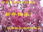 法轮功,佳木斯大法弟子恭祝师尊元旦快乐(24条)
