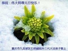 ֹ,󷨵ӹףʦԪ(31)
