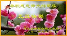 ֹ,ӱ󷨵ӹףʦ(28)
