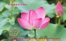 ֹ,ӱ󷨵ӹףʦ(28)
