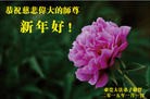 ֹ,½󷨵ӹףʦԪ֣88
