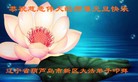 ֹ,½󷨵ӹףʦԪ֣88
