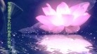 法轮功,佳木斯大法弟子恭祝师尊元旦快乐(24条)
