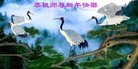 ֹ,½󷨵ӹףʦԪ֣35
