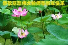 ֹ,½󷨵ӹףʦԪ֣35
