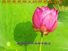 ֹ,½󷨵ӹףʦԪ(94)
